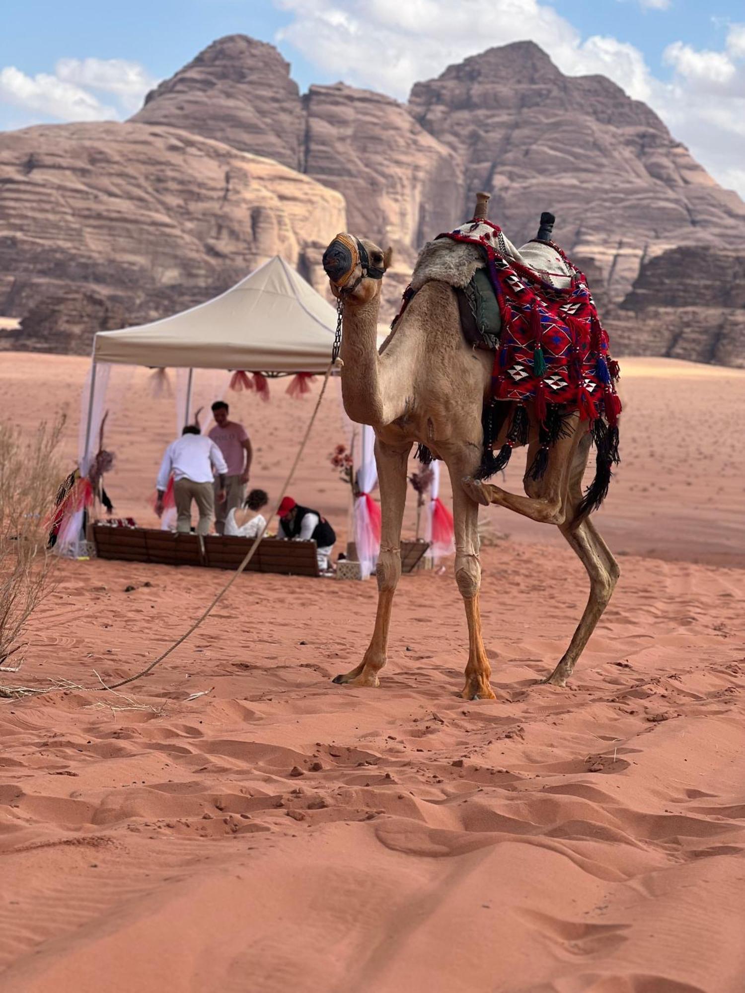 Revan Rum Luxury Camp Wadi Rum Exterior foto