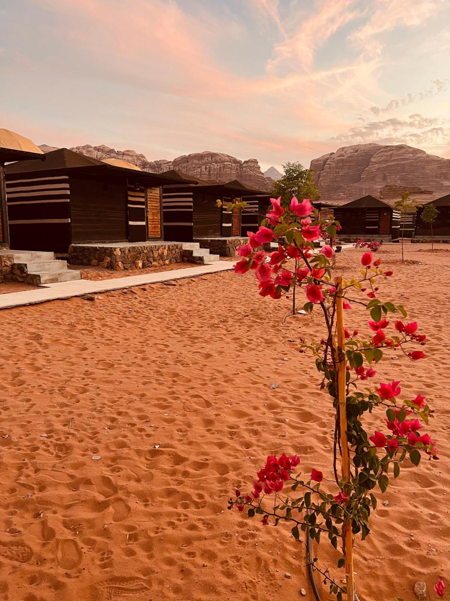 Revan Rum Luxury Camp Wadi Rum Exterior foto