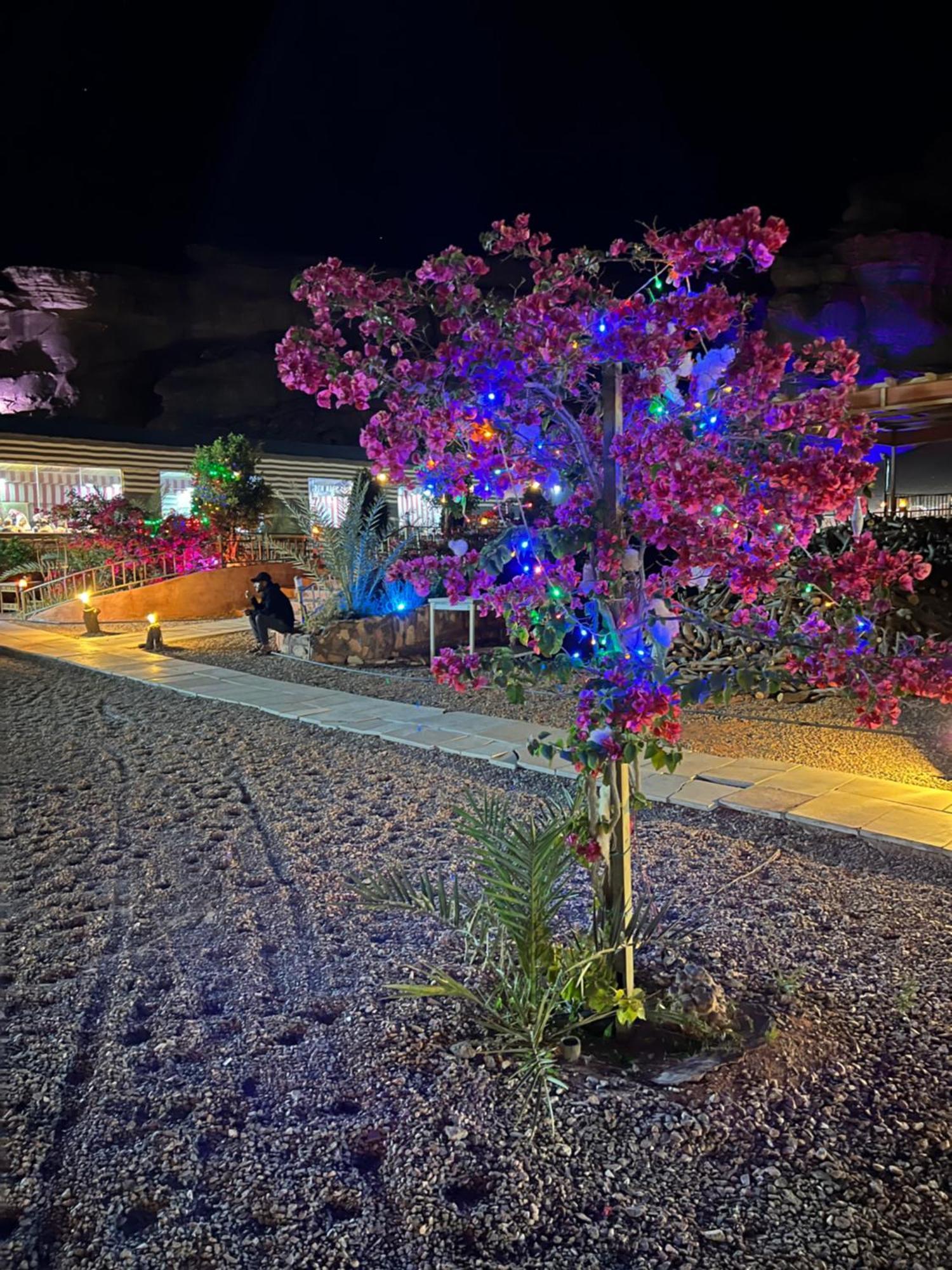 Revan Rum Luxury Camp Wadi Rum Exterior foto